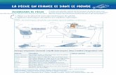 La pêche en France et dans le monde - MSC
