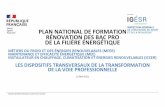 PLAN NATIONAL DE FORMATION RÉNOVATION DES BAC PRO DE …