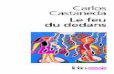 CASTANEDA - Le Feu du dedans