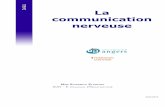 La communication nerveuse - u-bordeaux.fr