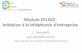 Module M1102: Initiation à la téléphonie d’entepise