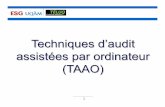 Techniques d’audit assistées par ordinateur (TAAO)