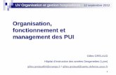 Organisation, fonctionnement et management des PUI