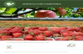 Commission Horticulture Comestible - Plan de développement