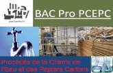 BAC Pro PCEPC