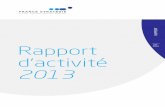 Rapport 2014 - strategie.gouv.fr