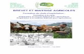 BREVET ET MAITRISE AGRICOLES - Site officiel du Canton de Vaud