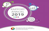 RAPPORT ANNUEL 2019 - observatoire-metiers-banque.fr