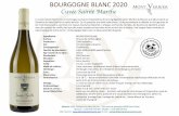 Bourgogne blanc 2020 Sainte Marthe