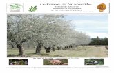 Le Frêne & la Morille - Société Mycologique et Botanique