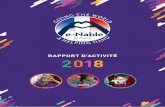 RAPPORT D’ACTIVITé 2018 - E-nable.fr – Un réseau de ...