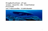 Exploitation d'un sous-marin de tourisme PS700 en Nouvelle ...
