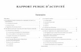 rapport public d’activité - abracadabraPDF