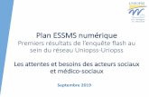 Plan ESSMS numérique
