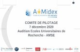 COMITE DE PILOTAGE 7 décembre 2020 Audition Ecoles ...