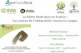 La filière forêt-bois en France : Les enjeux de l ...