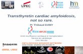 Transthyretin cardiac amyloidosis, not so rare.