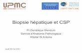 Biopsie hépatique et CSP - filfoie.com