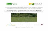 Rapport de stage - Agroforesterie et élévage-Projet PARASOL