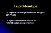 La protéomique - Créer un blog gratuitement sur Unblog.fr