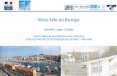 West Nile en Europe - Société Tunisienne de Pathologie ...