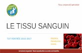 LE TISSU SANGUIN -