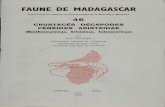 FAUNE DE MADAGASCAR - horizon.documentation.ird.fr