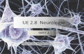 UE 2.8 Neurologie