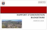 RAPPORT D’ORIENTATION BUDGETAIRE - Site officiel de la ...