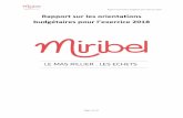 Rapport sur les orientations - miribel.fr