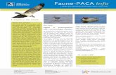 Faune PACA Info
