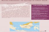 Bornéo indonésien, vie sauvage et culture dayak