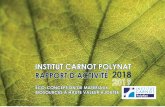 INSTITUT CARNOT POLYNAT RAPPORT D’ACTIVITÉ 2018
