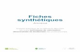 Fiches synthétiques