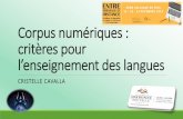Corpus numériques : critères pour l’enseignement des langues