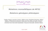 Mutations monoalléliques de WFS1 Relations génotypes ...