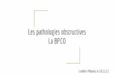 Les pathologies obstructives La BPCO
