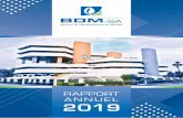 BDM rapport annuel 2008 new