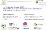 « Vision La Tuque 2023 » Répondre aux défis de l ...