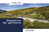 Rapport de gestion - MOB