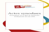 Actes synodaux
