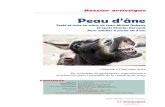 Dossier artistique - Peau d' ne - 050112