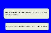 Les Protistes : Protozoaires (Proto = premier,