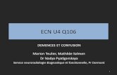 ECN U4 Q106 - CERF