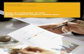 Guide de l'utilisateur de SAP BusinessObjects Analysis ...