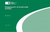 Rapport d’activité 2020 - hcsp.fr