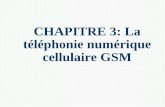 CHAPITRE 3: La téléphonie numérique cellulaire GSM