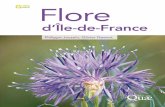 Flore - Quae