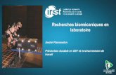 Recherches biomécaniques en laboratoire - IRSST