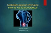 Lombalgies aiguës et chroniques Point de vue du Rhumatologue